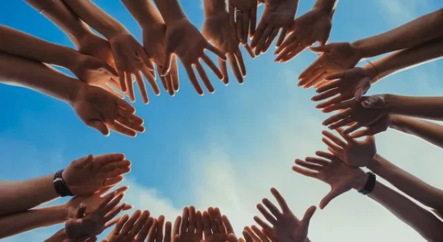 Assistência Social
